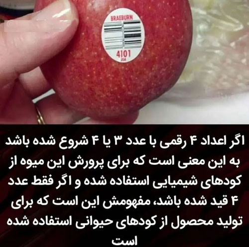 برچسب های روی میوه ها چه معنی دارند+ معرفی انواع لیبل و برچسب با تصویر