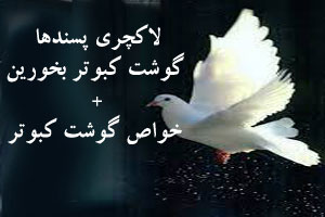 لاکچری پسندها گوشت کبوتر بخورین! خواص گوشت کبوتر لاکچری پسندها گوشت کبوتر بخورین! خواص گوشت کبوتر