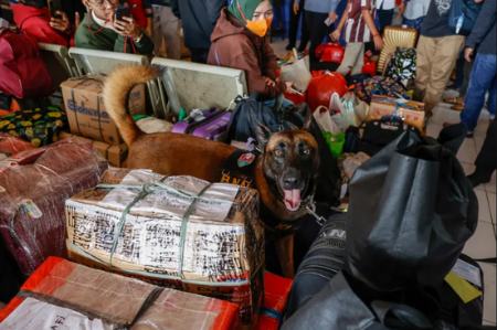 عکس های دیدنی از کافه مخصوص سگ ها تا استایل زنان بولیویایی