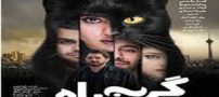 بیوگرافی گربه سیاه بازیگران از ترلان پروانه تا گروه سون بند+ عکس