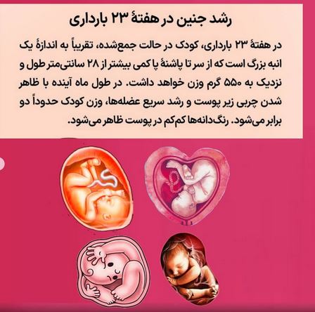 تفسیر جذاب ضربان قلب جنین FHR در سونوگرافی بارداری
