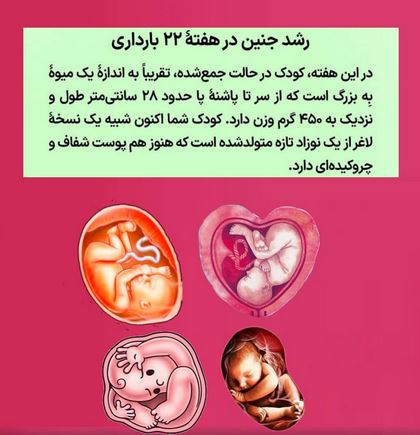 تفسیر جذاب ضربان قلب جنین FHR در سونوگرافی بارداری