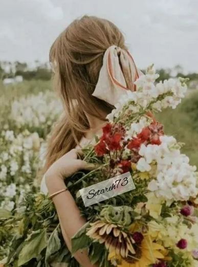 برترین گالری عکس های گوناگون برای همه سلیقه ها/ پروفایل استوری