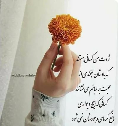 برترین گالری عکس های گوناگون برای همه سلیقه ها/ پروفایل استوری