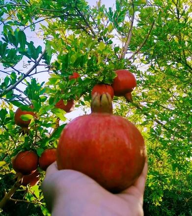 برترین گالری عکس های گوناگون برای همه سلیقه ها/ پروفایل استوری