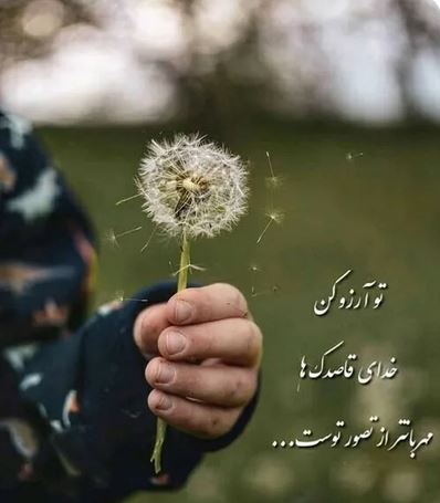 برترین گالری عکس های گوناگون برای همه سلیقه ها/ پروفایل استوری