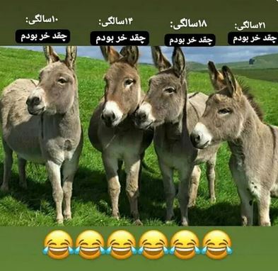 برترین گالری عکس های گوناگون برای همه سلیقه ها/ پروفایل استوری