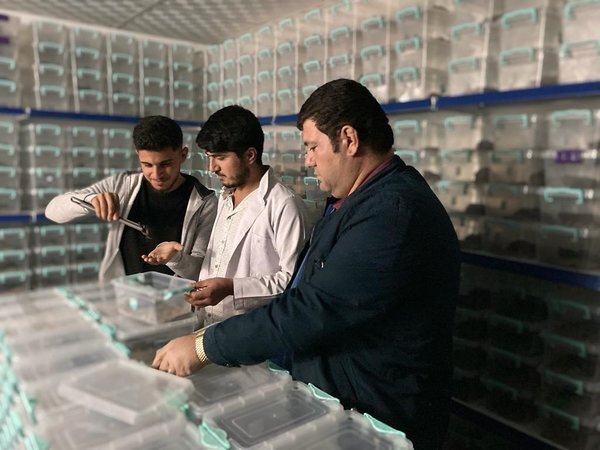 دلیل فروش زهر عقرب هر لیتر 10 میلیون دلار! کژدم سم گستر