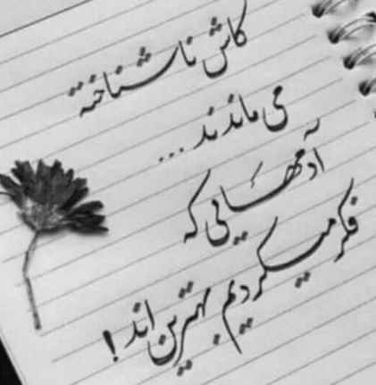 زیبا عکس نوشته های پروف و گوناگون با متن