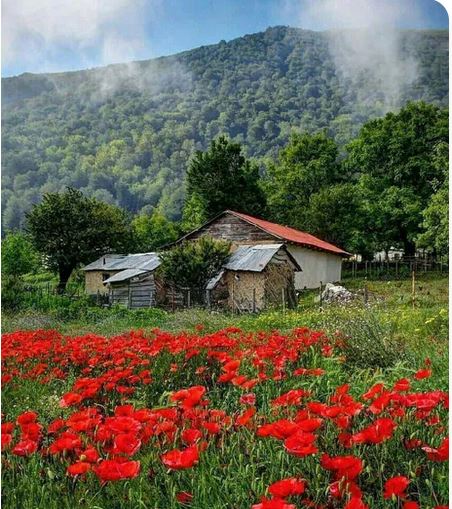 زیبا عکس نوشته های پروف و گوناگون با متن