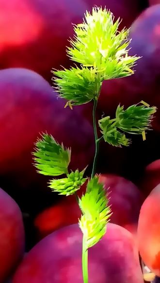 زیبا عکس نوشته های پروف و گوناگون با متن