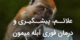 علائم آبله میمون بدتر از کرونا و کشورهایی که در گیر شدند+ عکس