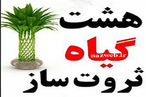 8 گیاه ثروت ساز! ارمغان فوری ثروت با گیاهان پول ساز 8 گیاه ثروت ساز! ارمغان فوری ثروت با گیاهان پول ساز