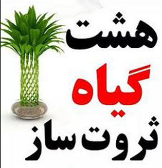 8 گیاه ثروت ساز! ارمغان فوری ثروت با گیاهان پول ساز