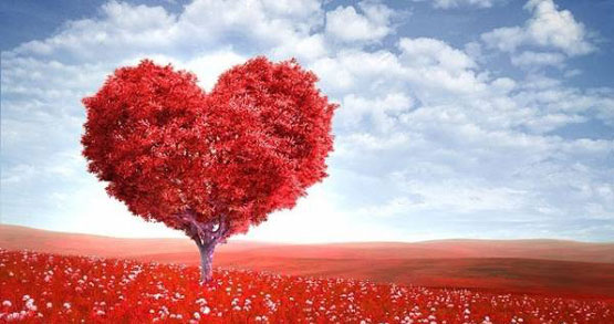 هوش احساسی عشق شما چقدر است؟ تست هوش احساسی عشق شما چقدر است؟ تست