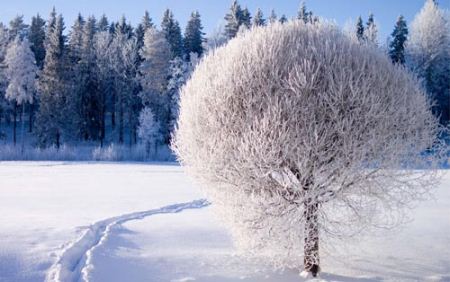 زیباترین عکس های طبیعت برفی با شعرهای برفی (والیپر)