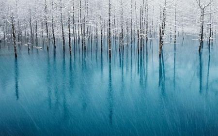 زیباترین عکس های طبیعت برفی با شعرهای برفی (والیپر)