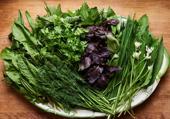 غذاهای گیاهی رژیمی، از ست گیاهی تا ساندویج کباب سبزیجات!