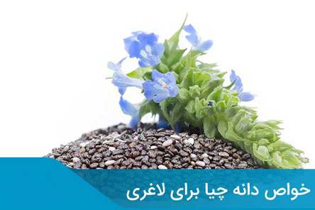 دانه چیا چه خواصی دارد؟ 10 فایده چیا برای لاغری یا رفع چاقی