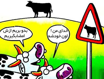 عکس های بسیار دیدنی و خنده دار از همه جا