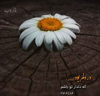 داروهای عاشقانه و سرشار از احساس و آرامش