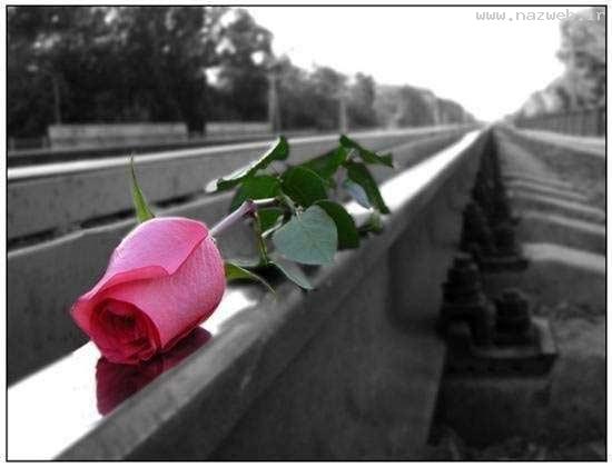 داروهای عاشقانه و سرشار از احساس و آرامش