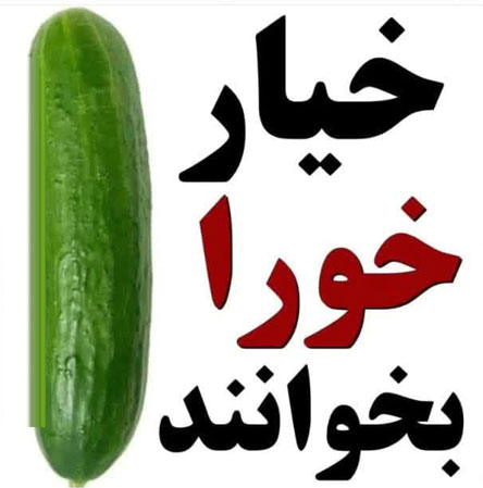 خیار خورها شبها خیار بخورید! 18 کاربرد بی نظیر خیار
