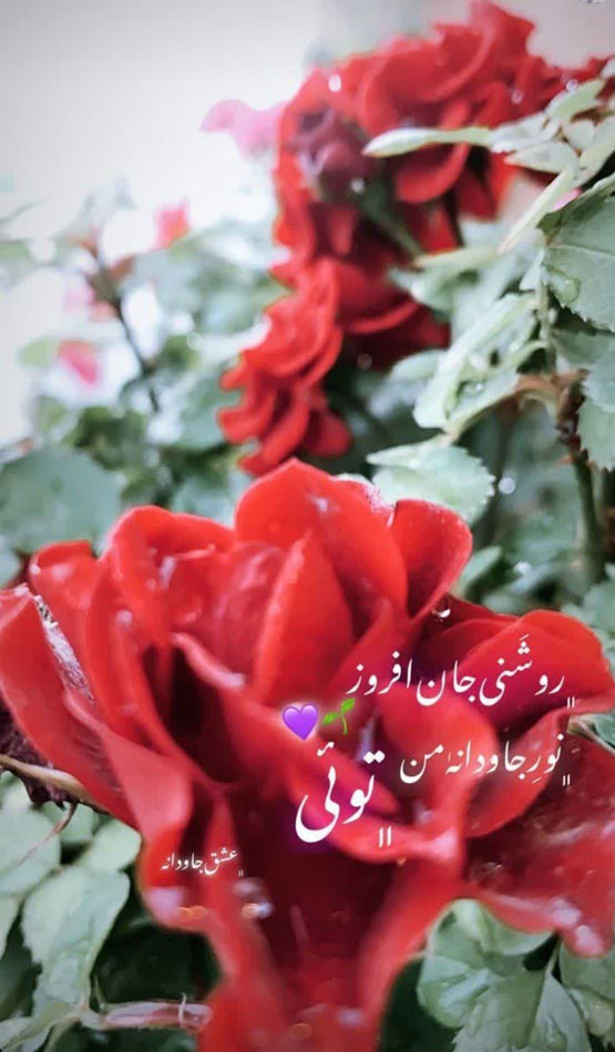 عکس های زیبا از کارت پستال های عاشقانه