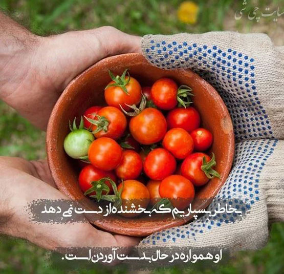 عکس نوشته و خصوصیت افراد خسیس و اختلال روانی آنها