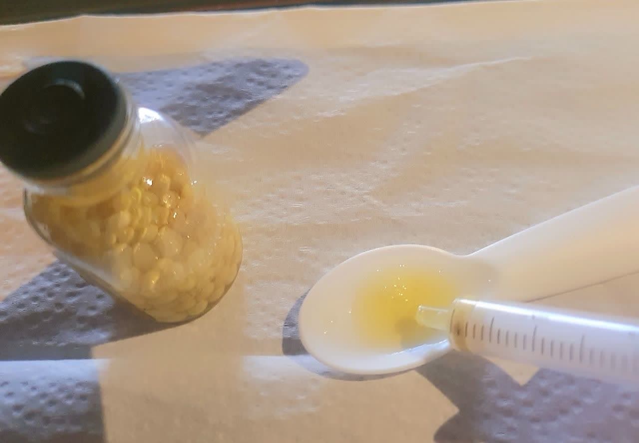 آموزش روغن گیری خاویار حلزون با سرنگ