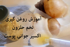 آموزش روغن گیری تخم حلزون اکسیر جوانی پوست با لیسه