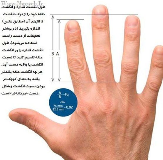 طالع بینی و شخصیت شناسی علمی با انگشتان دست