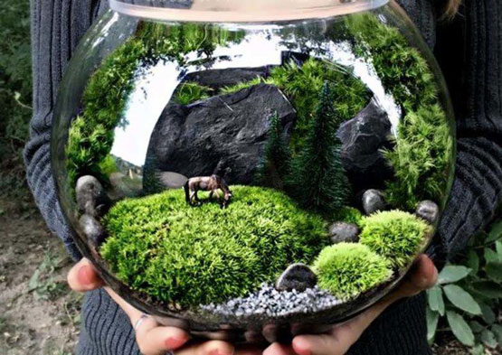 آموزش جدیدترین سبزه عید در تنگ با گیاه آبزی| عکسهای مدل سبزه