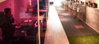 نهال گشت شما را به هر مقصدی که بخواهید می‌رساند