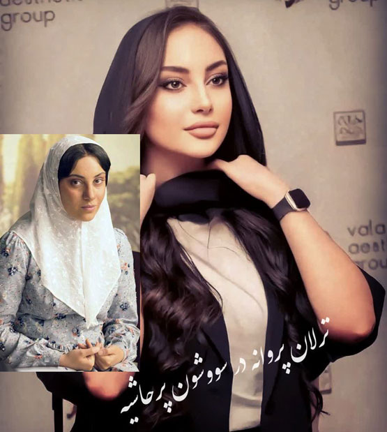 بیوگرافی بازیگران سریال پرحاشیه سووشون + نقش‌ها