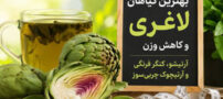 بهترین گیاهان لاغری و کاهش وزن | آرتیشو، کنگر فرنگی و آرتیچوک چربی‌سوز