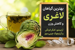 بهترین گیاهان لاغری و کاهش وزن | آرتیشو، کنگر فرنگی و آرتیچوک چربیسوز بهترین گیاهان لاغری و کاهش وزن | آرتیشو، کنگر فرنگی و آرتیچوک چربیسوز