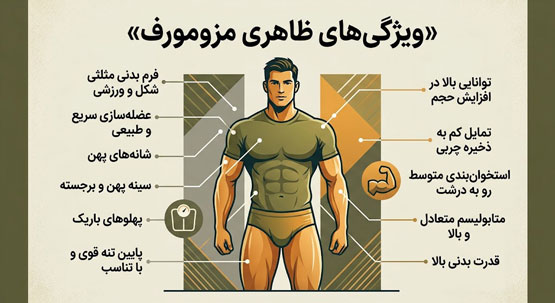 اندومورف، مزومورف یا اکتومورف؟ تیپ بدنی شما کدام است؟