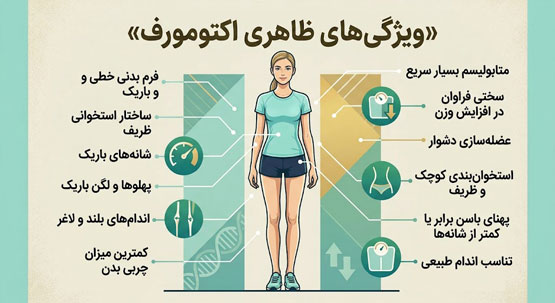 اندومورف، مزومورف یا اکتومورف؟ تیپ بدنی شما کدام است؟