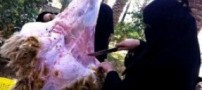حضور بی سابقه دختران و زنان برای قصابی! (+عکس)