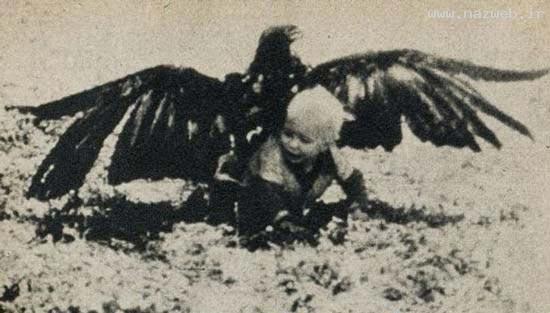 پسر بچه ای که توسط عقاب شکار شد !! + تصاویر
