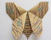 آموزش تصویری ساخت پروانه با کاغذ