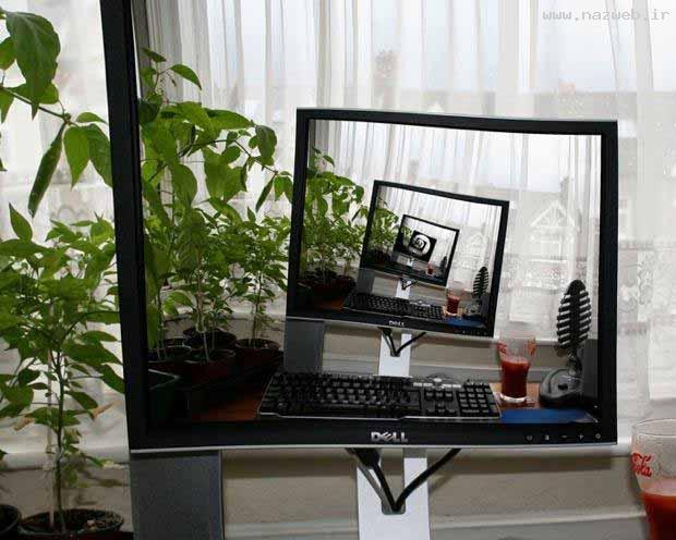 عکس های بسیار دیدنی اما در هم بر هم !!