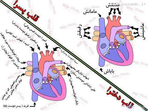 تفاوت دیدنی قلب پسرها با دخترها (طنز تصویری)