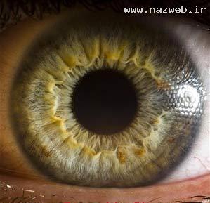 زیبایی و شگفتی چشم یک انسان (تصویری)