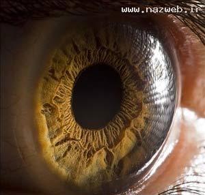 زیبایی و شگفتی چشم یک انسان (تصویری)