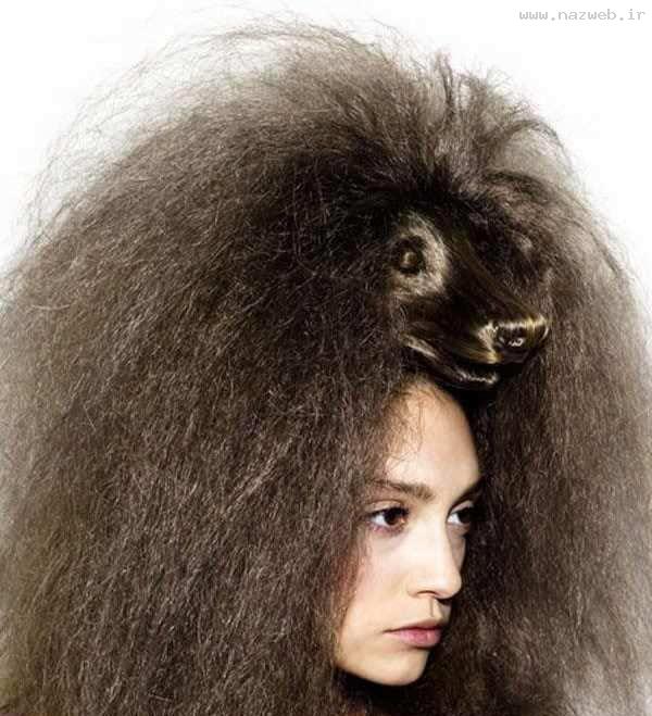 عکس های عجیب ترین مدل موهای زنانه در دنیا