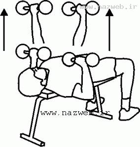 ورزش هایی برای کوچک کردن سینه ها (+تصاویر)