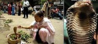 ازدواج عجیب زنی با یک مار کبری + عکس