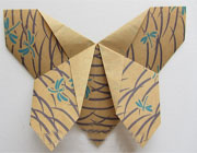 آموزش تصویری ساخت پروانه با کاغذ